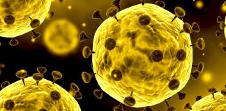 O Coronavirus vem brincar o Carnaval