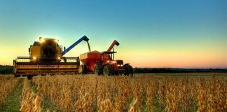 BrasilAgro (AGRO3): colhendo uma boa safra de resultados