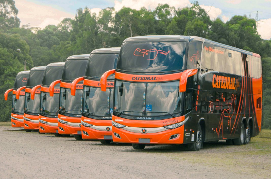 Ônibus da Marcopolo alinhados em frente a árvores